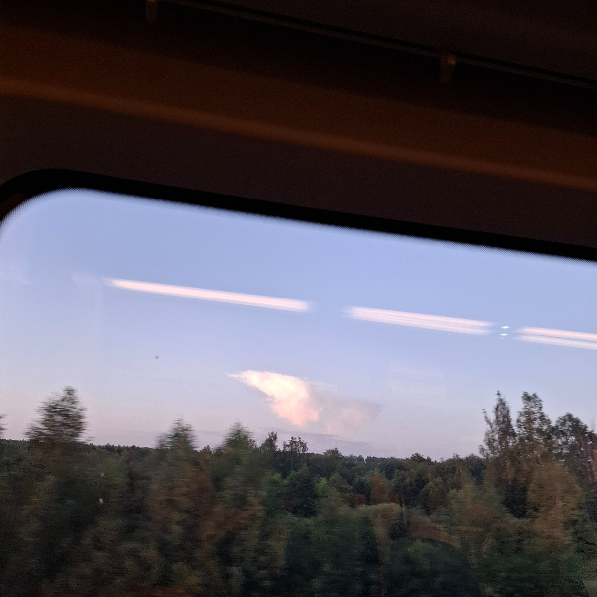 Крыло Ангела