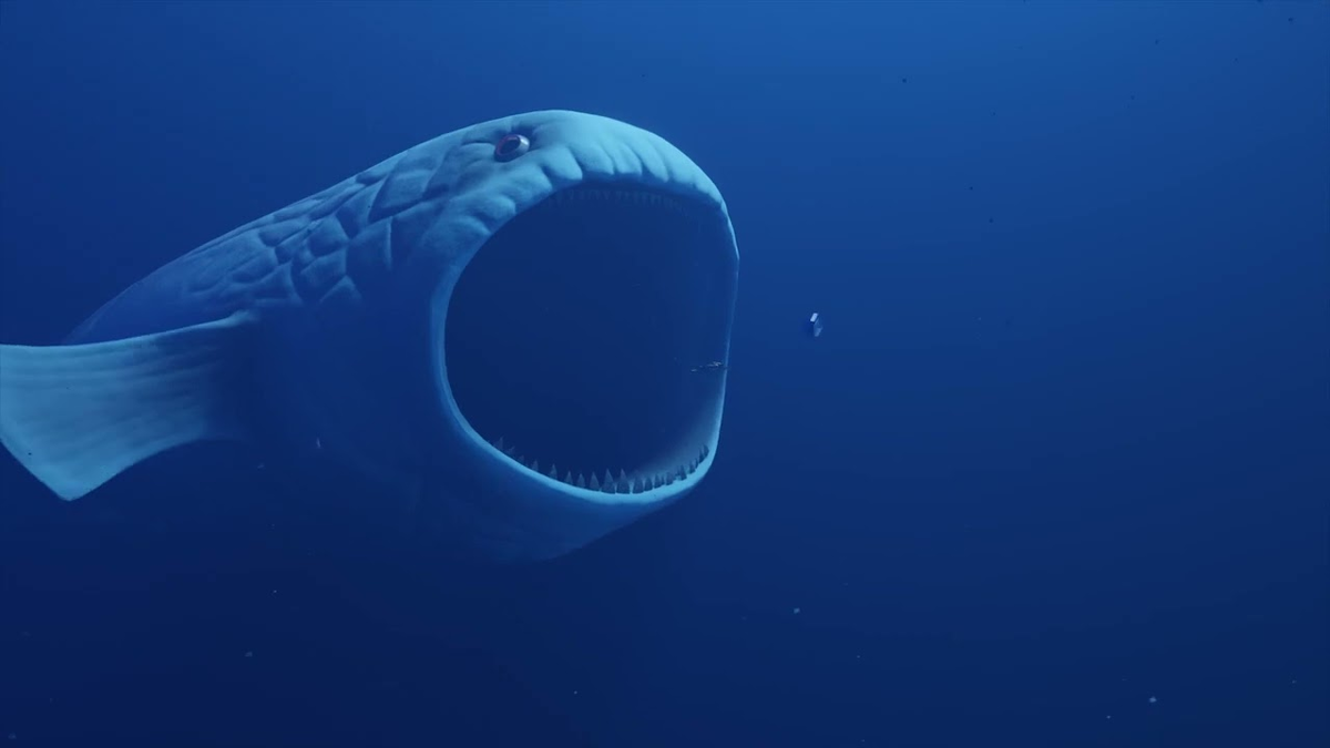 Этот красавец в интернете получил название "Блуп - монстр глубины". Разумеется, речь не о монстрах, но звук не дает покоя любителям фотошопа и теорий заговора