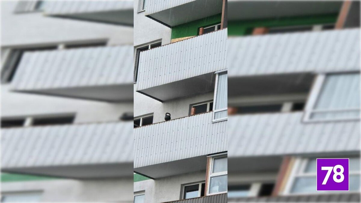    Фото: соцсети