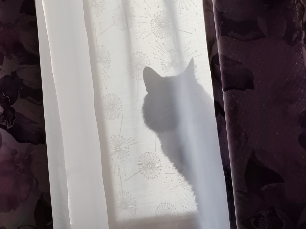 Фото автора канала.