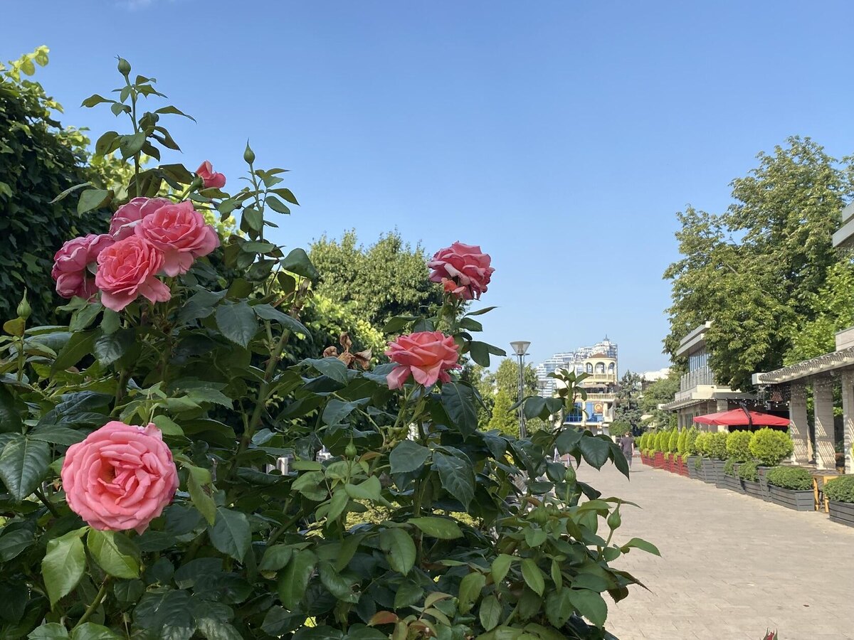 Набережная Ростова-на-Дону. Фото автора