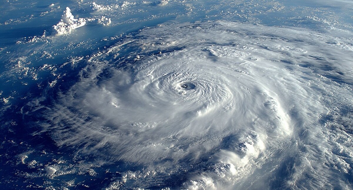     Источник: Изображение Midjourney