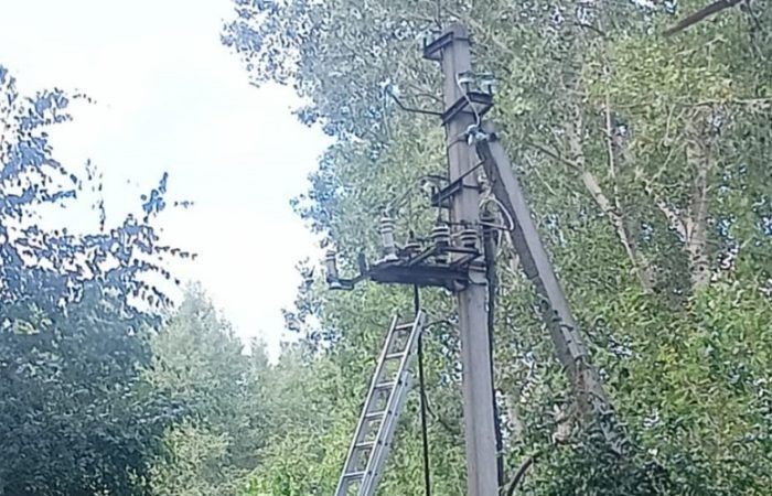    Фото: Новая Сибирь