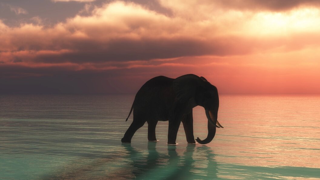    Фото: Freepik.com