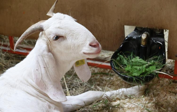    ФОТО: Артем Геодакян/ ТАСС