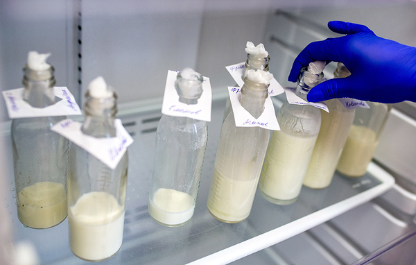 Сергей Бобылев/ТАСС