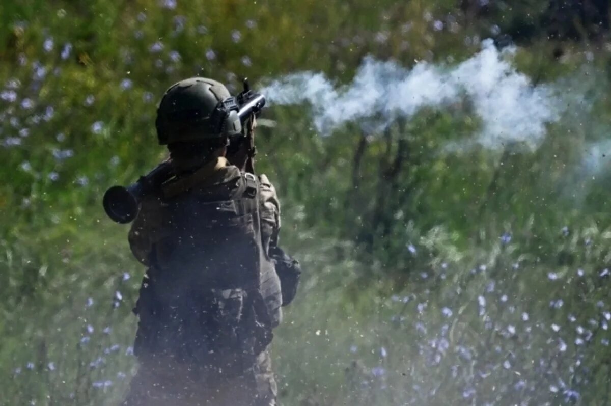    ВС РФ в боях за Новоукраинку ликвидировали элитный полк «Скала»