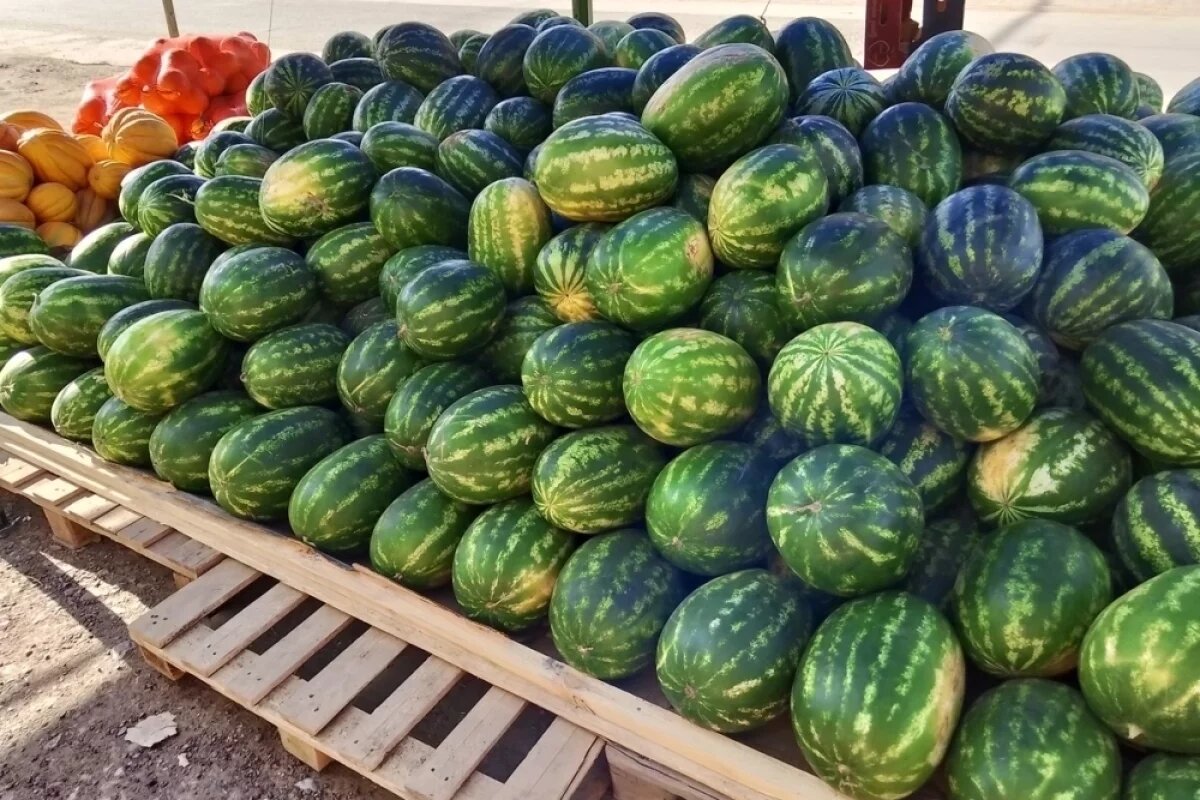    В пищу дыни и арбузы можно употреблять как в свежем виде, так и в приготовленном.