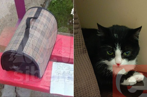    Фото: Mash Siberia / читатель Прецедента