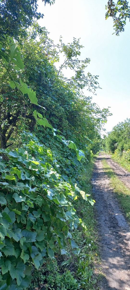 Фото личное