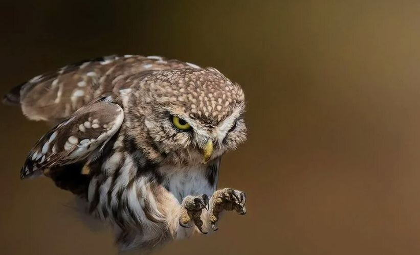 В атаку на холодильник