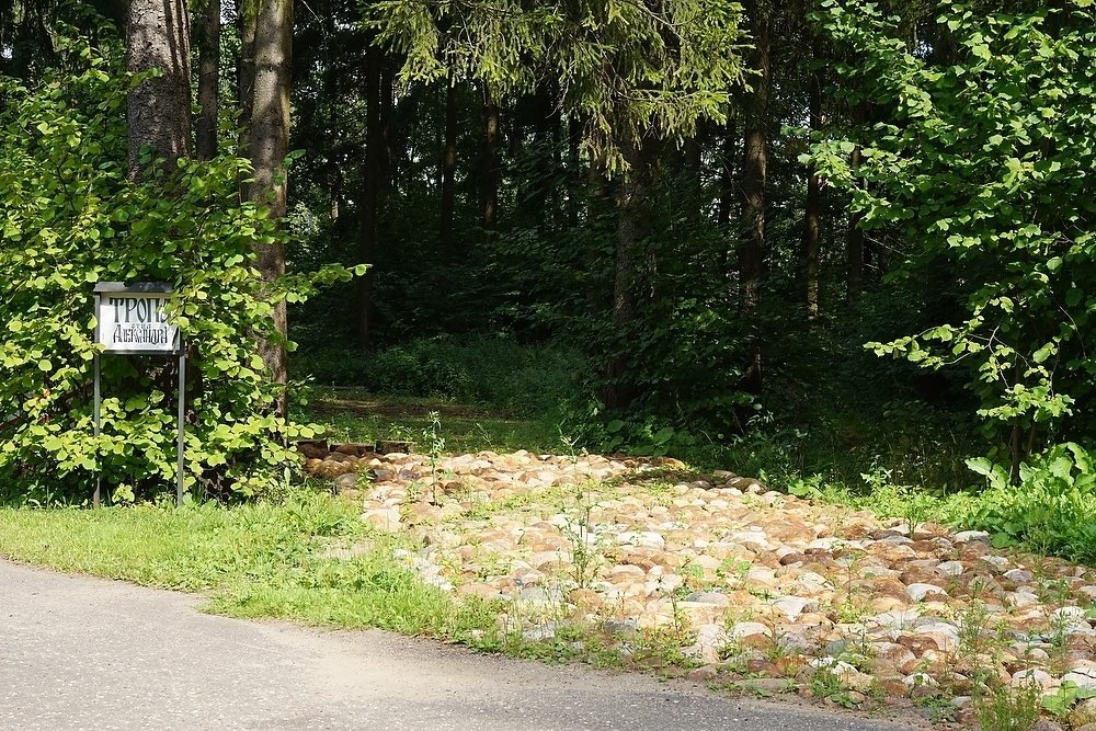 Место убийства в поселке Семхоз Сергиево-Посадского района Московской области