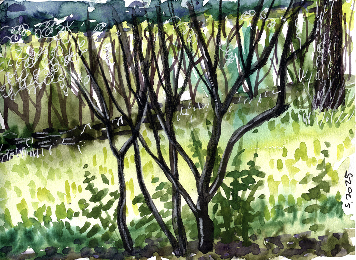 рисунок автора канала