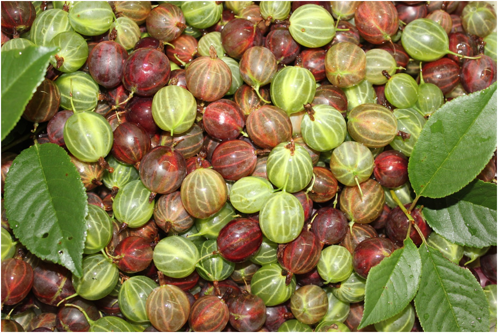 Личное фото автора.