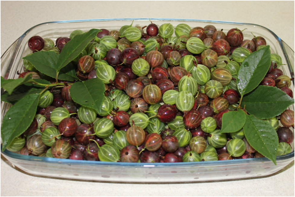 Личное фото автора