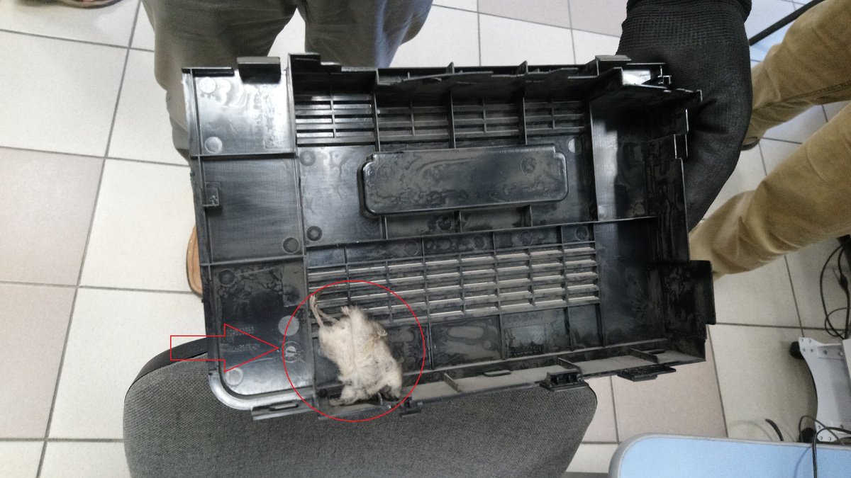 Фото вскрытия принтера.