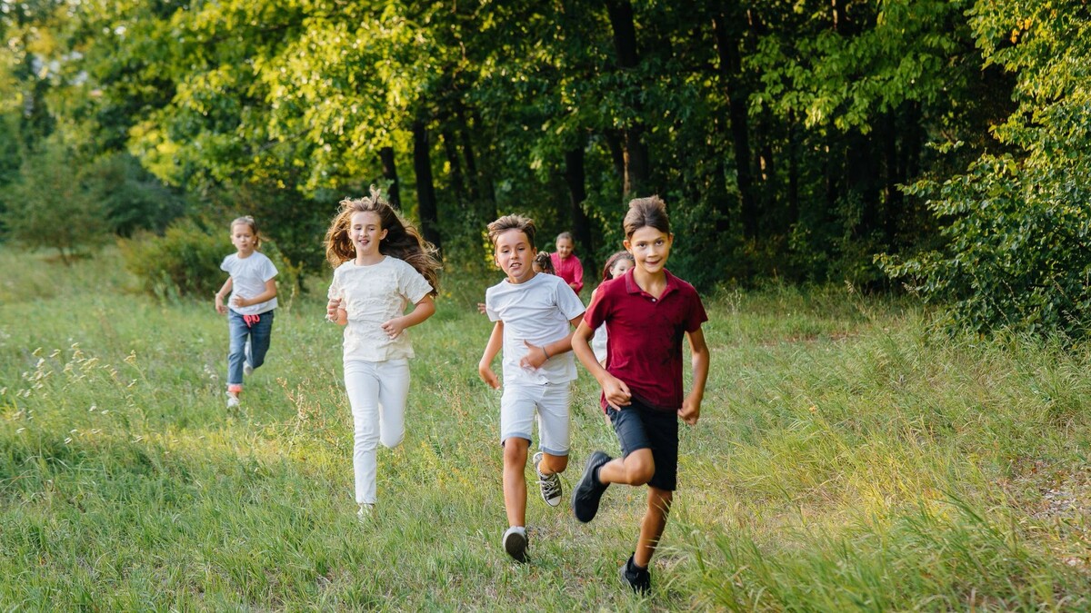    Фото: Andrii Medvednikov/Shutterstock/Fotodom