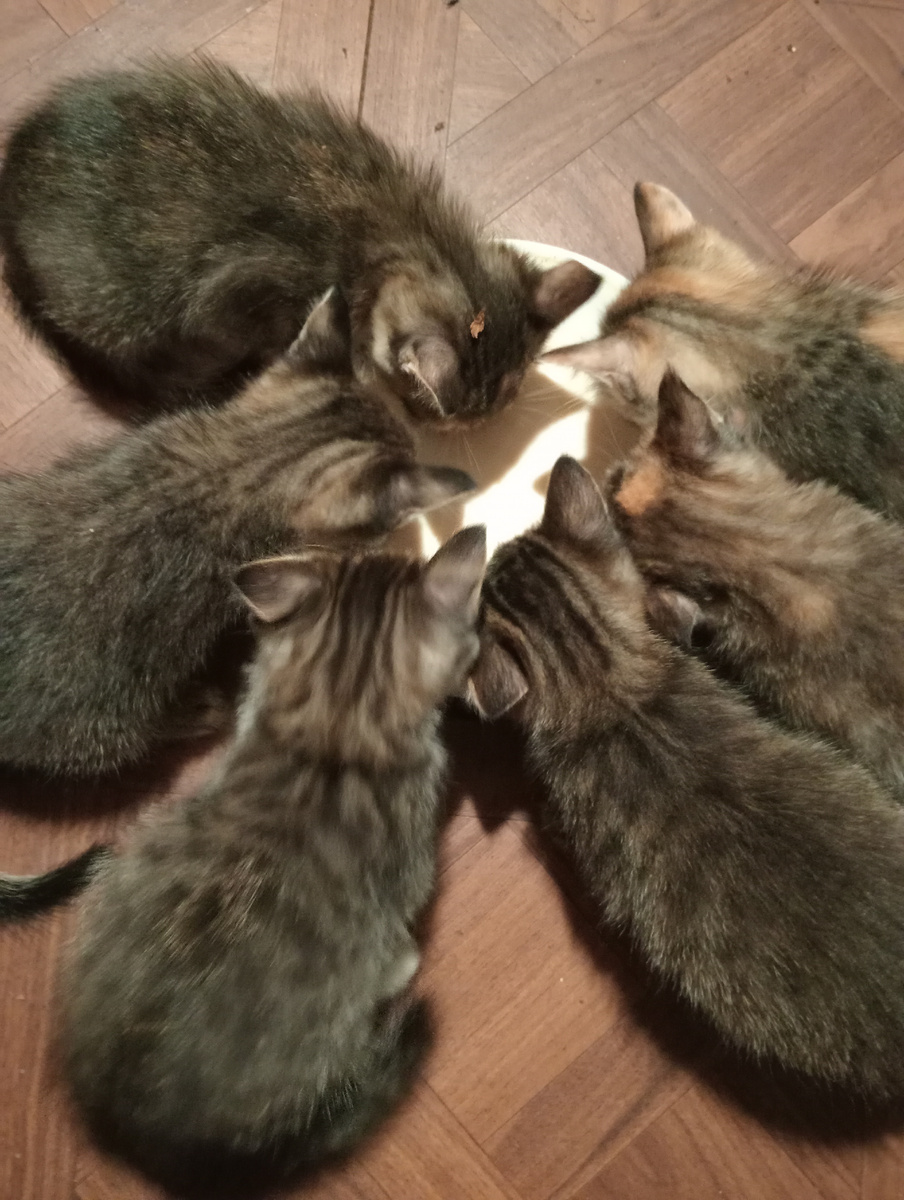 Поели, можно молочком запить! Вкусно!!!