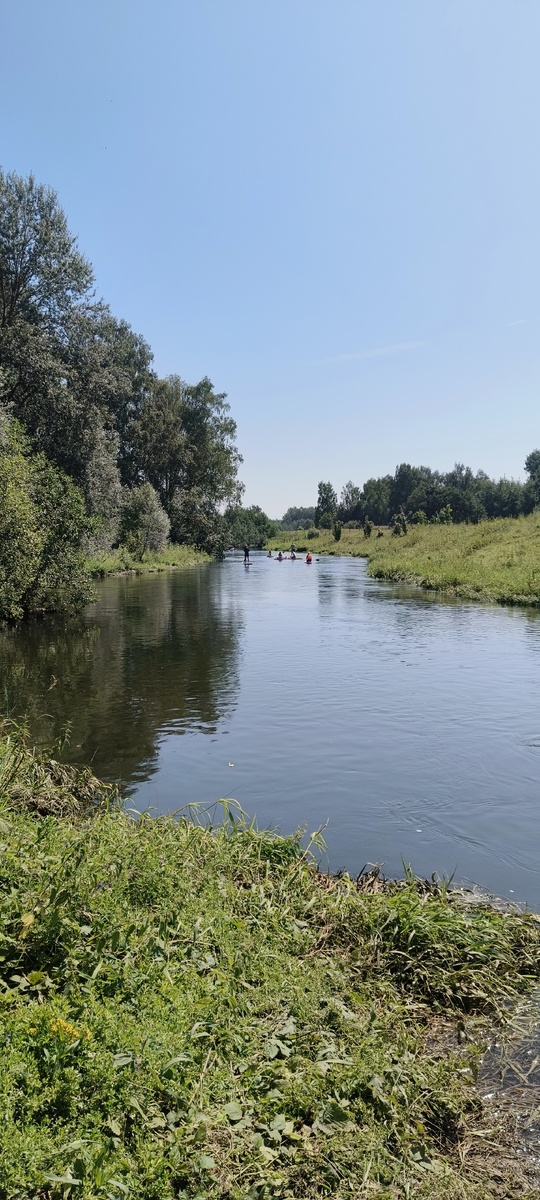 Река Истра вышла из берегов. Красивые берега и природа