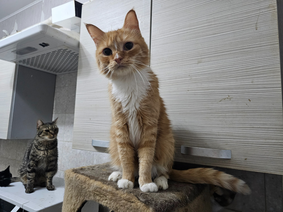 Фото автора. Димыч