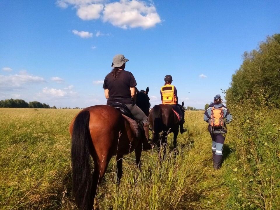    Поиски 17-летнего подростка под Новосибирском. Источник: "Поисковый отряд ЛизаАлерт Новосибирской области"