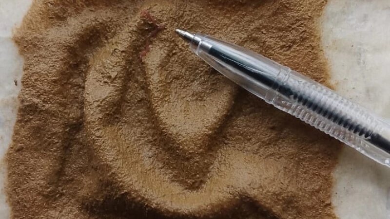     Червь Предоставлено altapress.ru