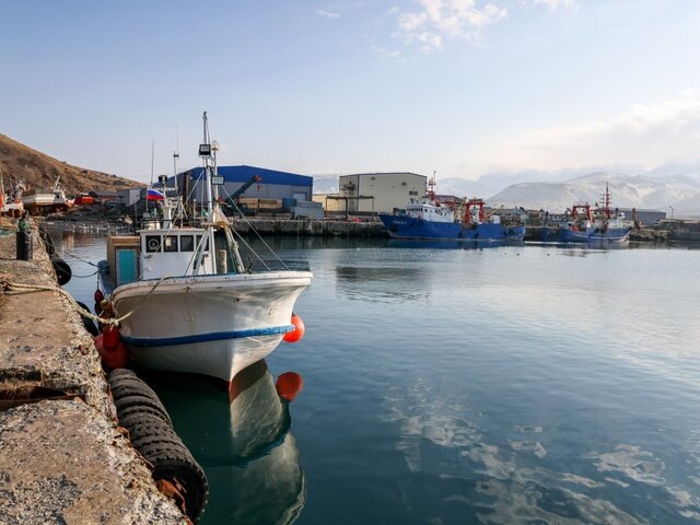    Фото: ТАСС/Елена Верещака