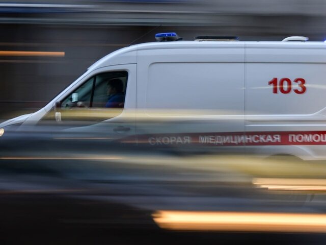    Фото: Москва 24/Антон Великжанин