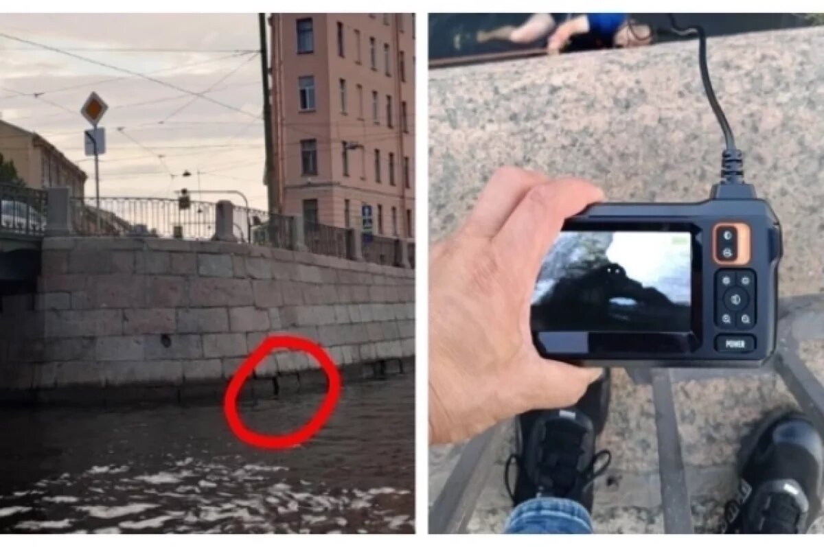    В Петербурге четвёртый день спасают кота с набережной Фонтанки