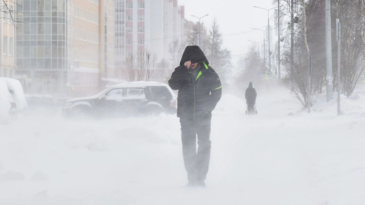    Фото: Андрей Ткачев / «Ямал-Медиа»