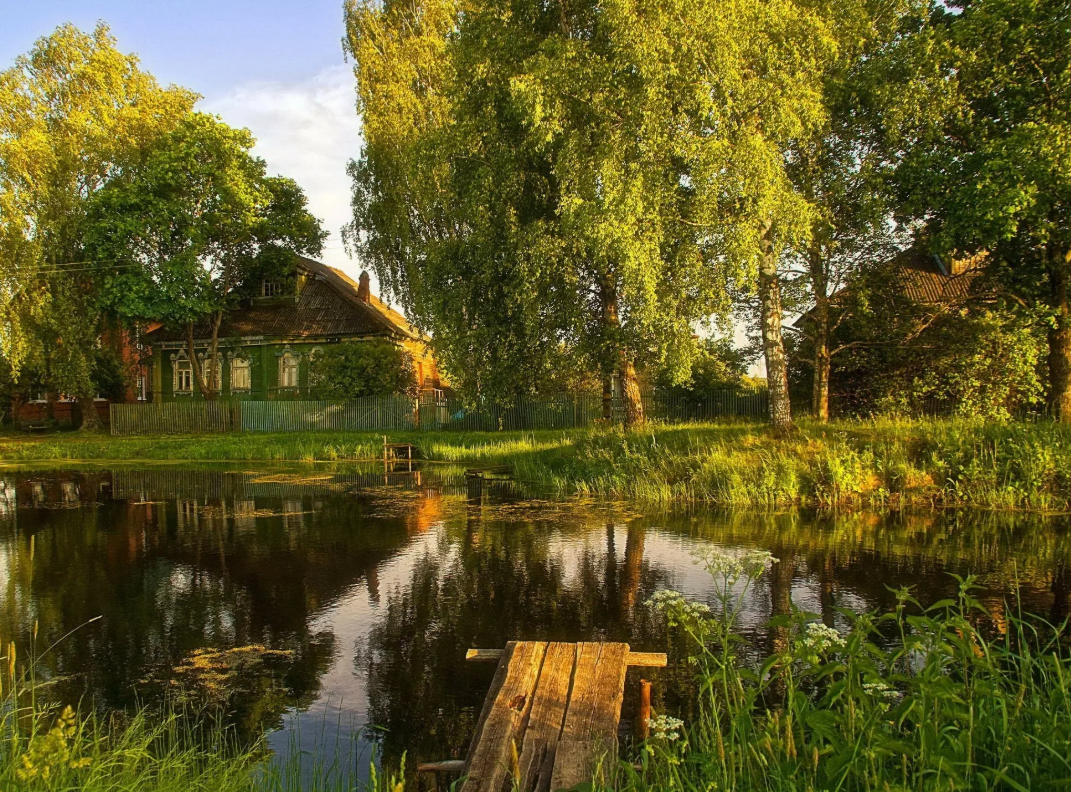 Яндекс картинки