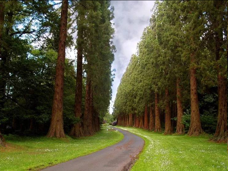 Фото: открытые источники