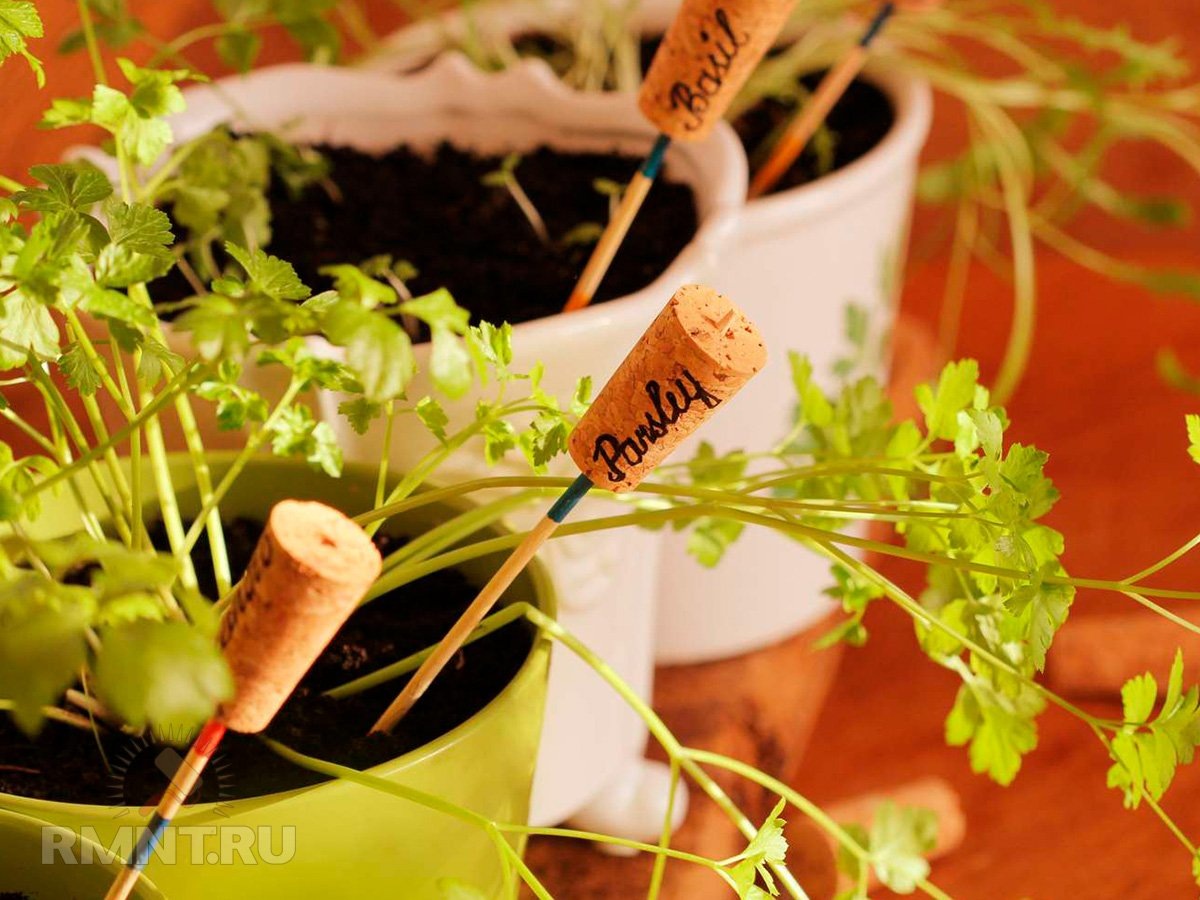 Фото marthastewart.com