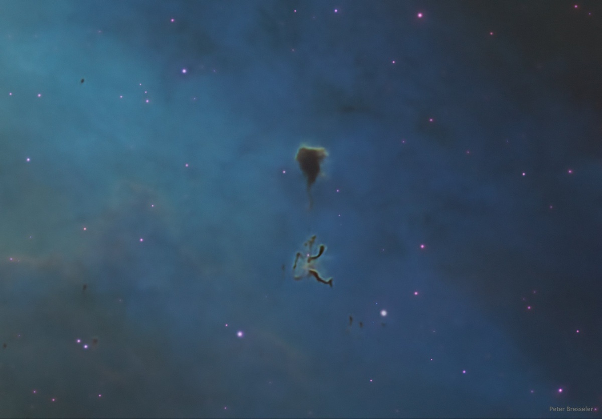 ФОТО: Peter Bresseler 
