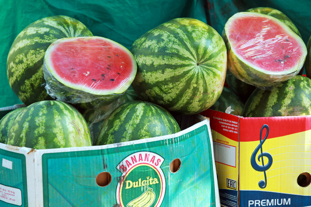    Фото: Baltphоto/Дарья Иванова