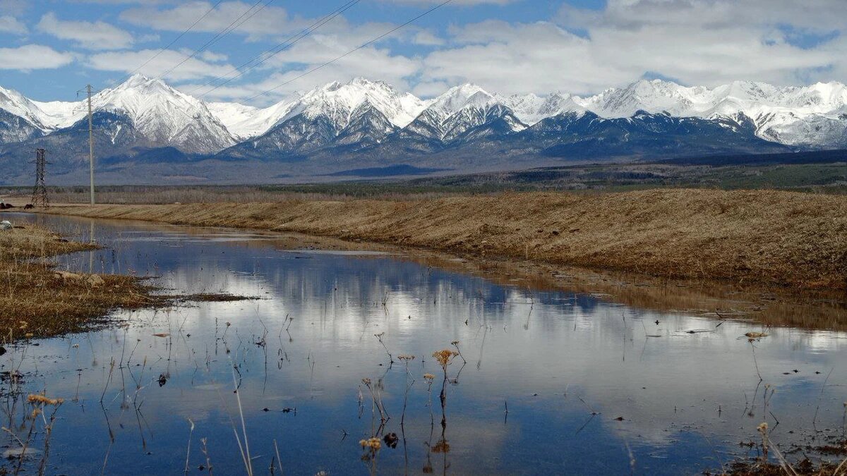 Источник: организатор