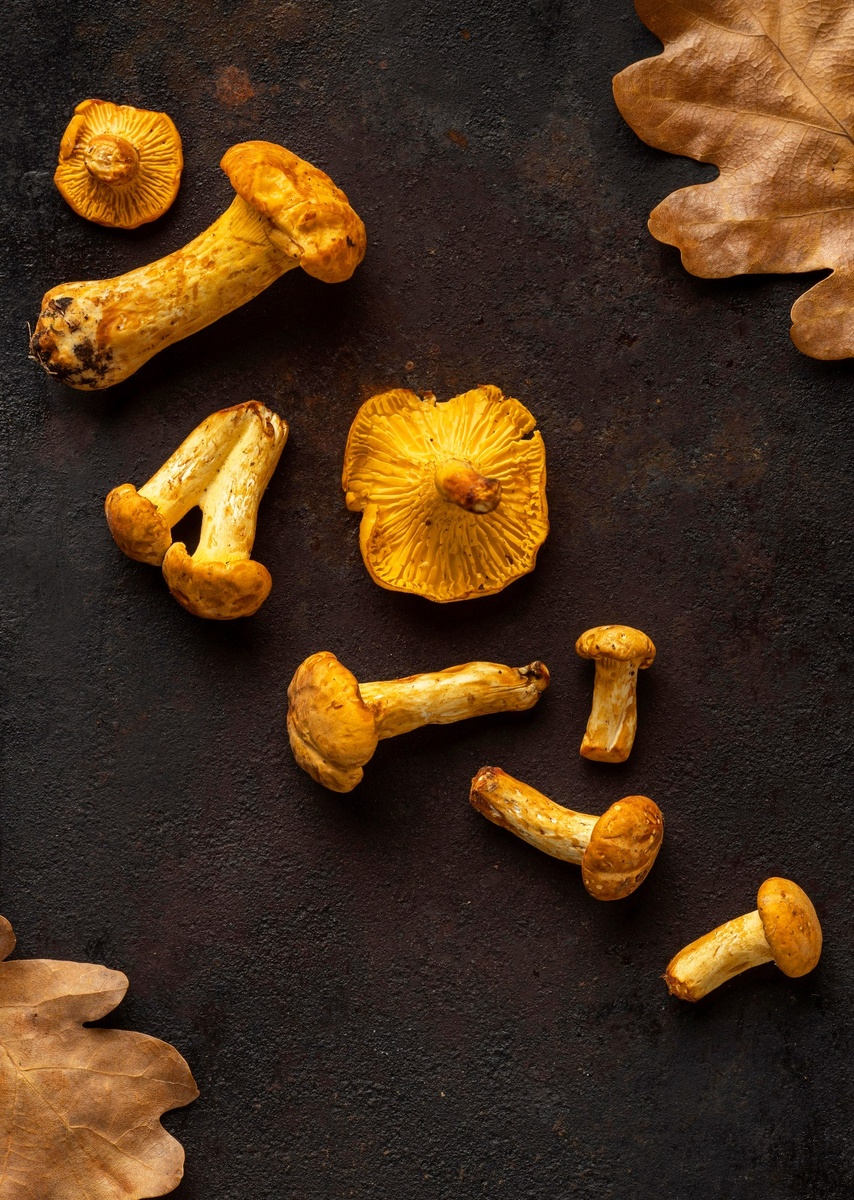 Автор фото: ru.freepik.com