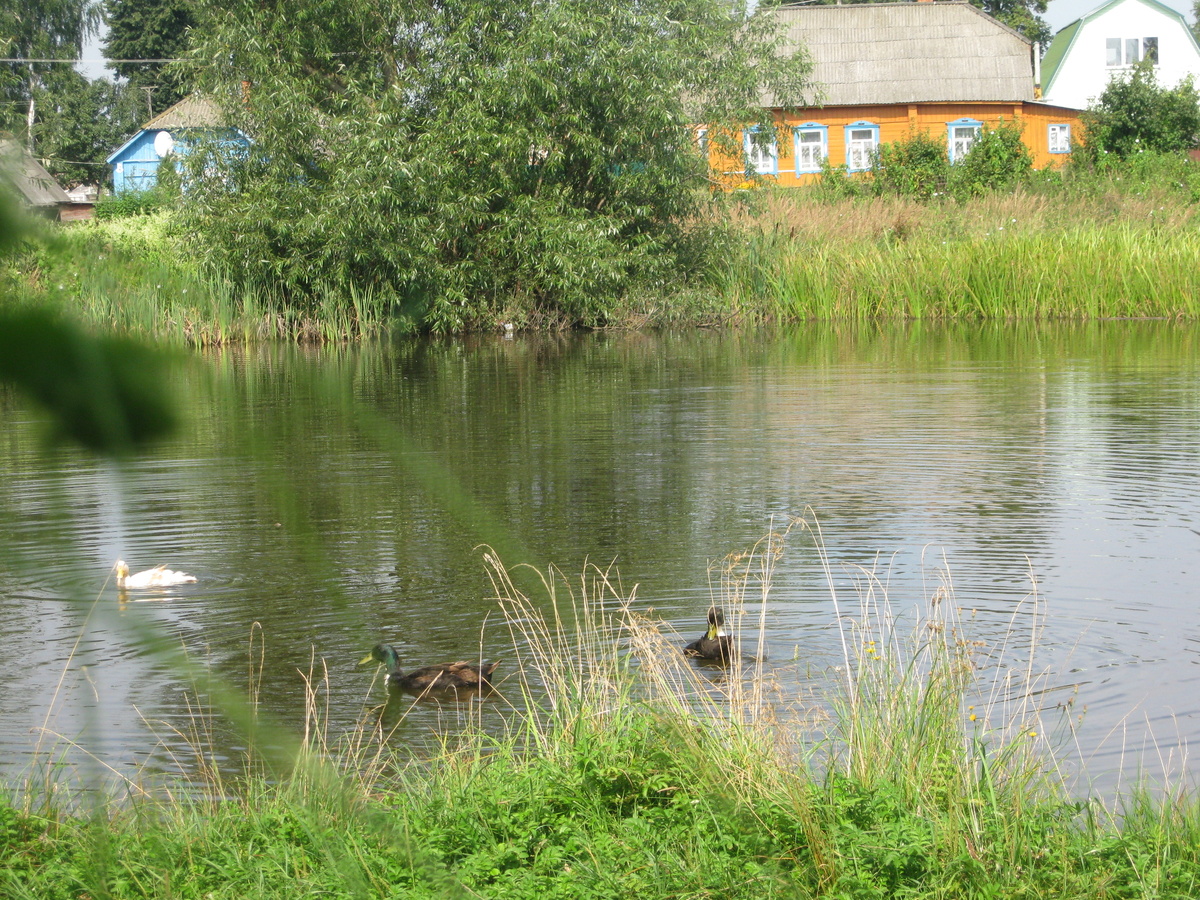 фотография автора