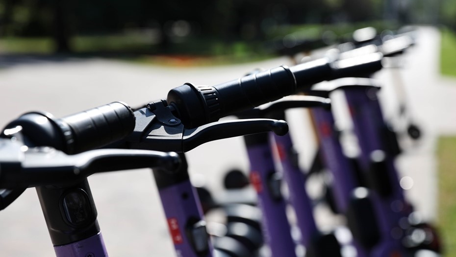    Автор фото: Иван Высочинский/ТАСС