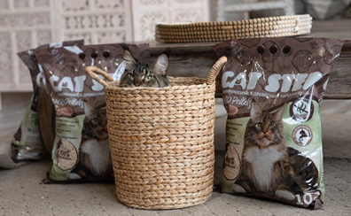 Кошка инстинктивно пытается освободить железы, елозя по полу. Если проблема не решается, может развиться абсцесс, требующий ветеринарного вмешательства. 