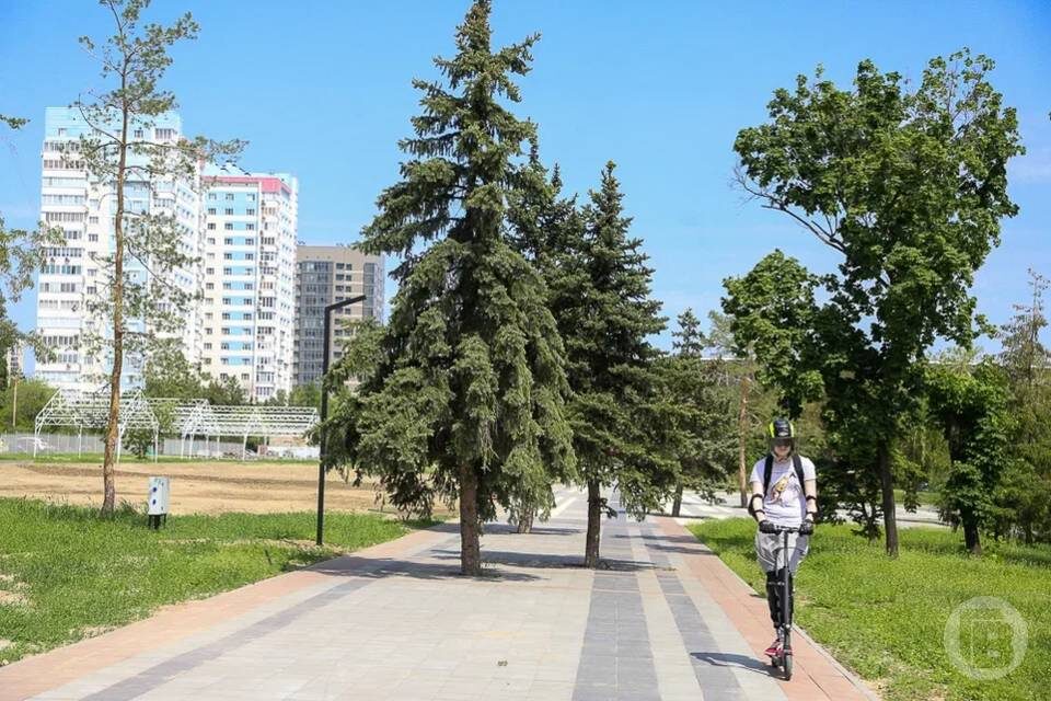    Фото: Дмитрий Рогулин / "Городские вести"