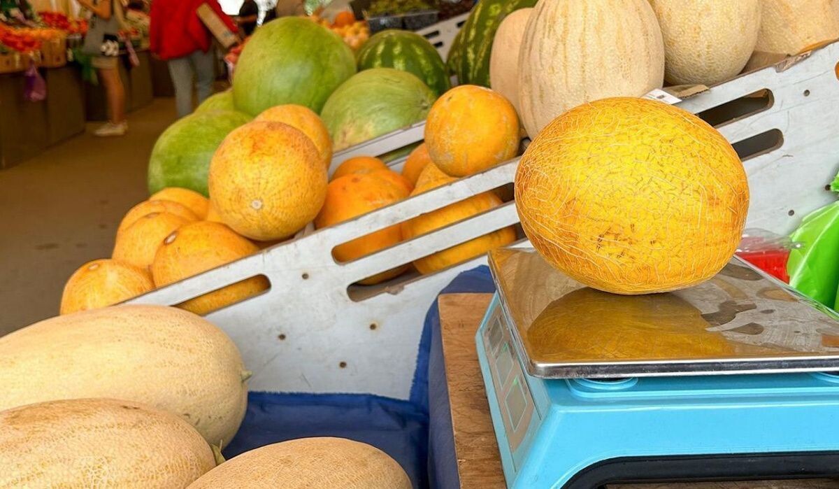     Дани. Источник: mos.ru Автор фото: Пресс-служба Мэра и Правительства Москвы