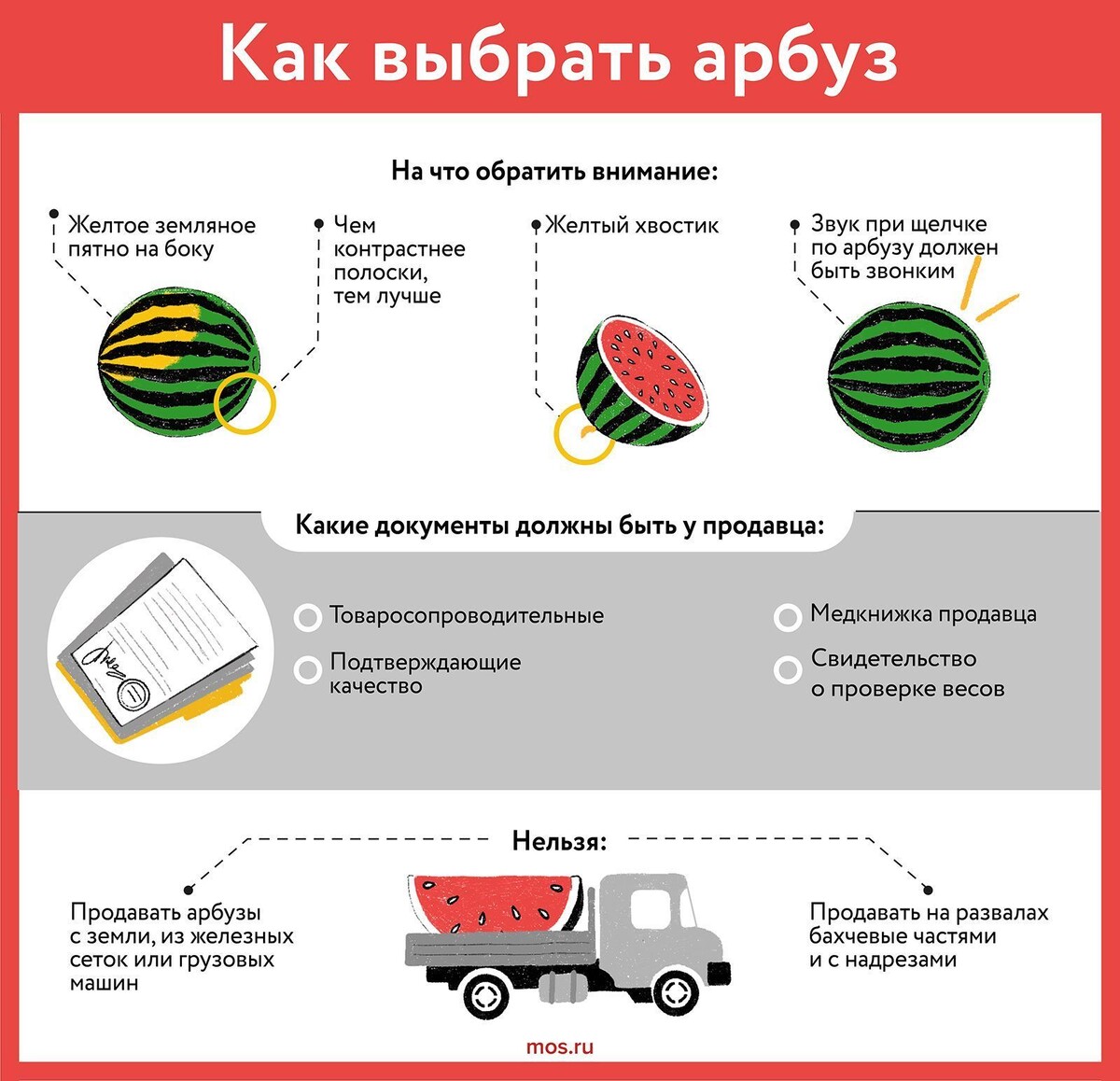    Как выбрать арбузы и дыни: советы для москвичей