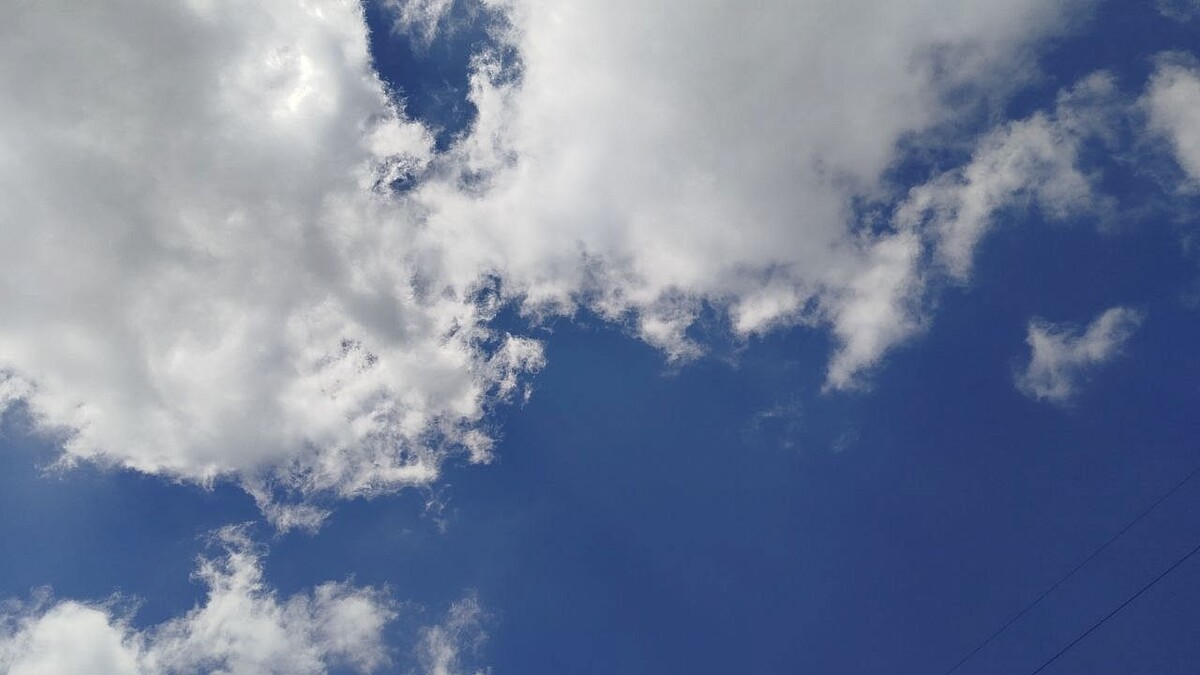    фото: Телеканал Краснодар