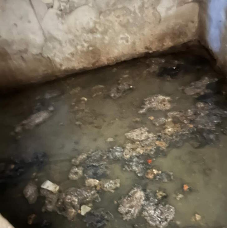    Фото: Елена К., vk.com