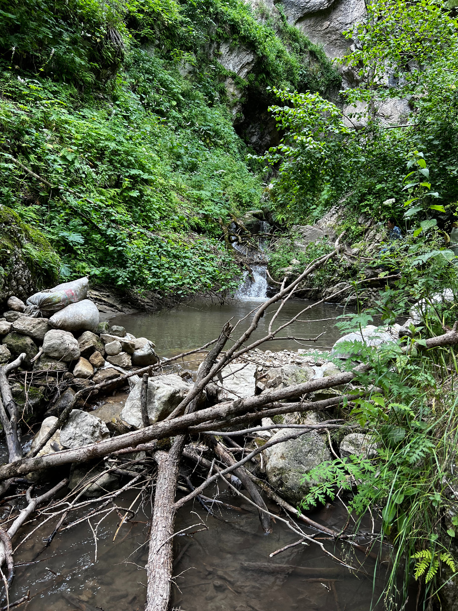 Тропинка к водопаду