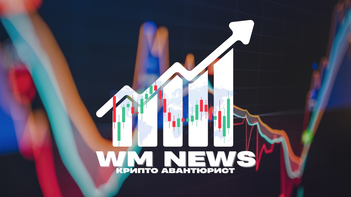 WM NEWS • выпуск №16