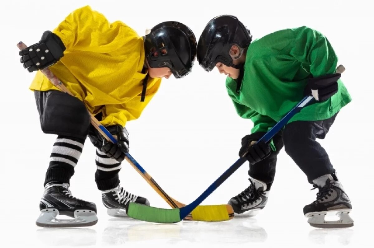    Суд не принял иск об игре в хоккей главного нижегородского налоговика