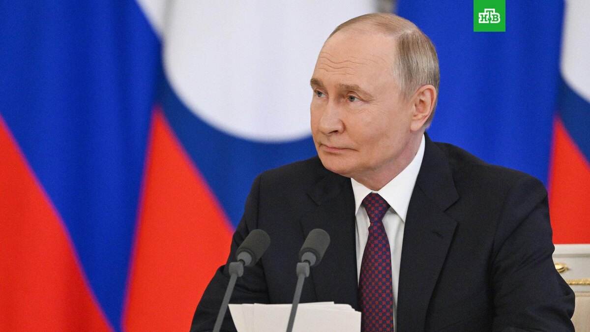    Фото: РИА Новости © 2025, Кристина Кормилицына