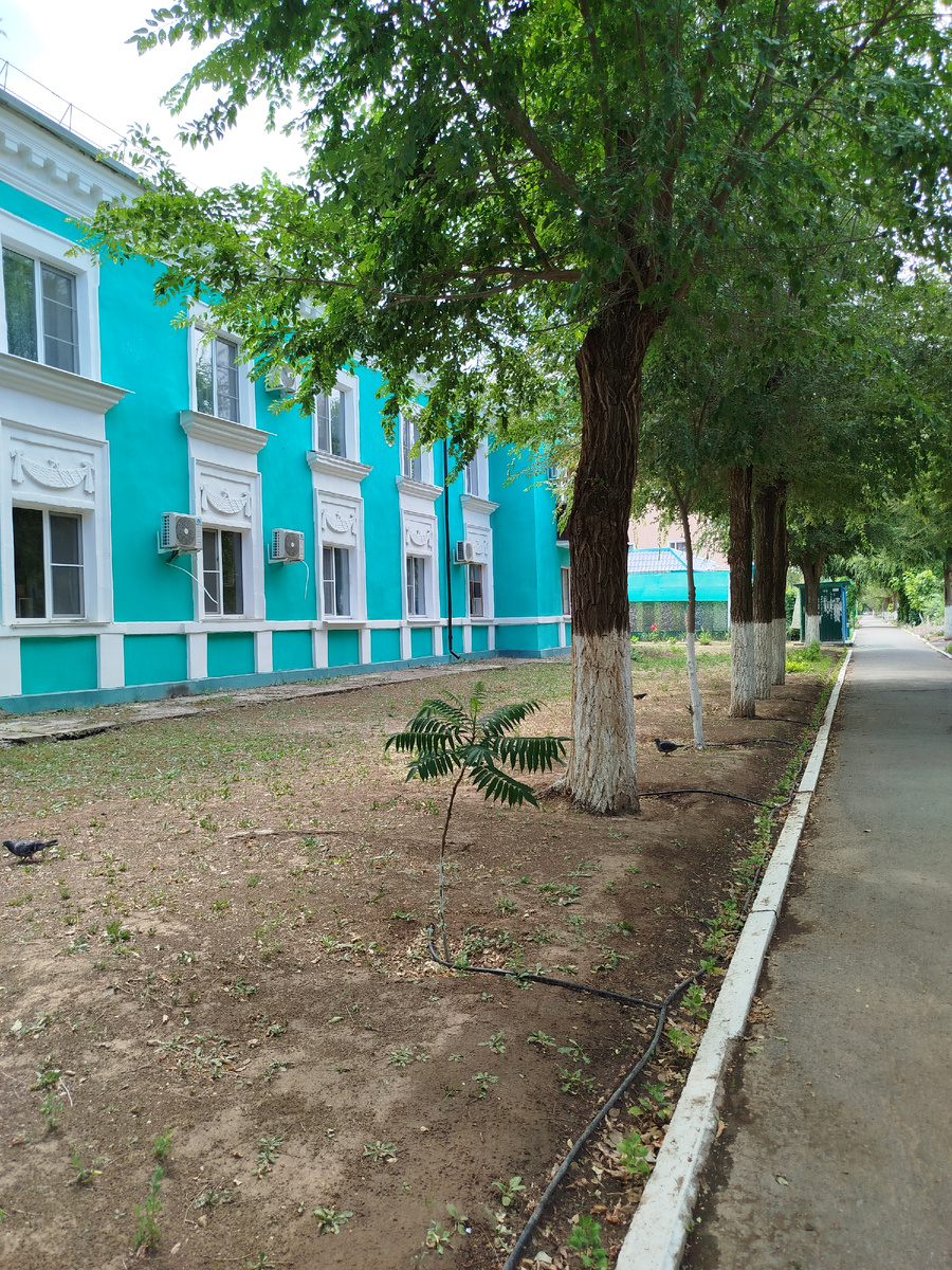 не совсем они, но что то типа того, таких домов до сих пор в городе много